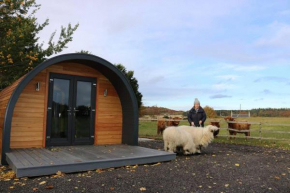 Glampods Glamping Pod - meet Highland Cows and Sheep Elgin